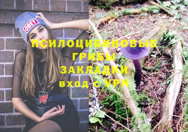 метадон Алексеевка